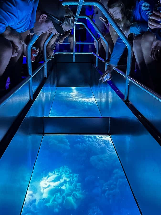 Airlie Beach: Glass-Bottom Boat Night Tour - Key points to know before you go