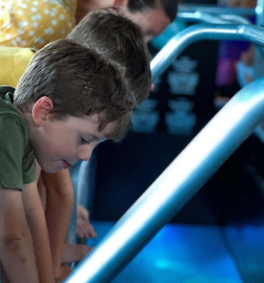 Airlie Beach: Glass-Bottom Boat Night Tour - What you see through the glass