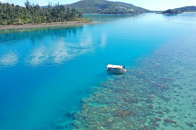 Airlie Beach Glass Bottom Boat Tour - Quick points to know before booking