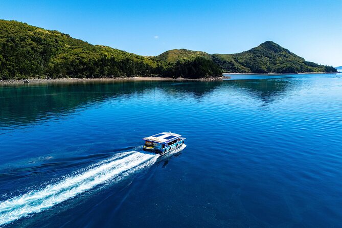 Airlie Beach Glass Bottom Boat Tour - How much marine life will you see?