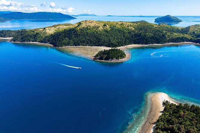 Airlie Beach Glass Bottom Boat Tour - Who will enjoy this most?