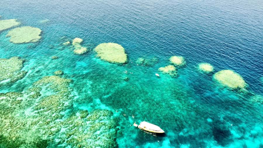 Airlie Beach: Great Barrier Reef & Whitehaven Beach Tour - Starting at Coral Sea Marina before the crowds