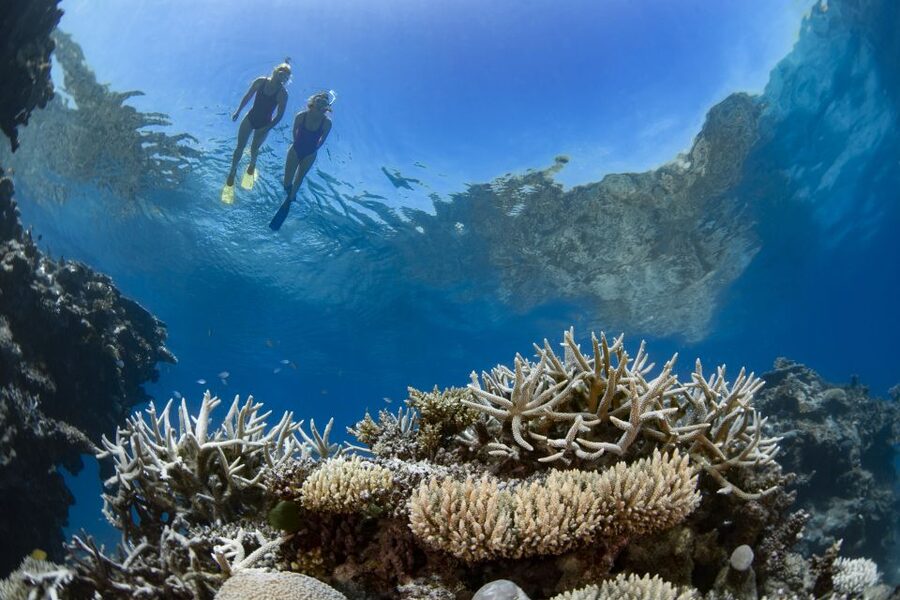 Airlie Beach: Great Barrier Reef & Whitehaven Beach Tour - What happens when the outer reef is unsafe