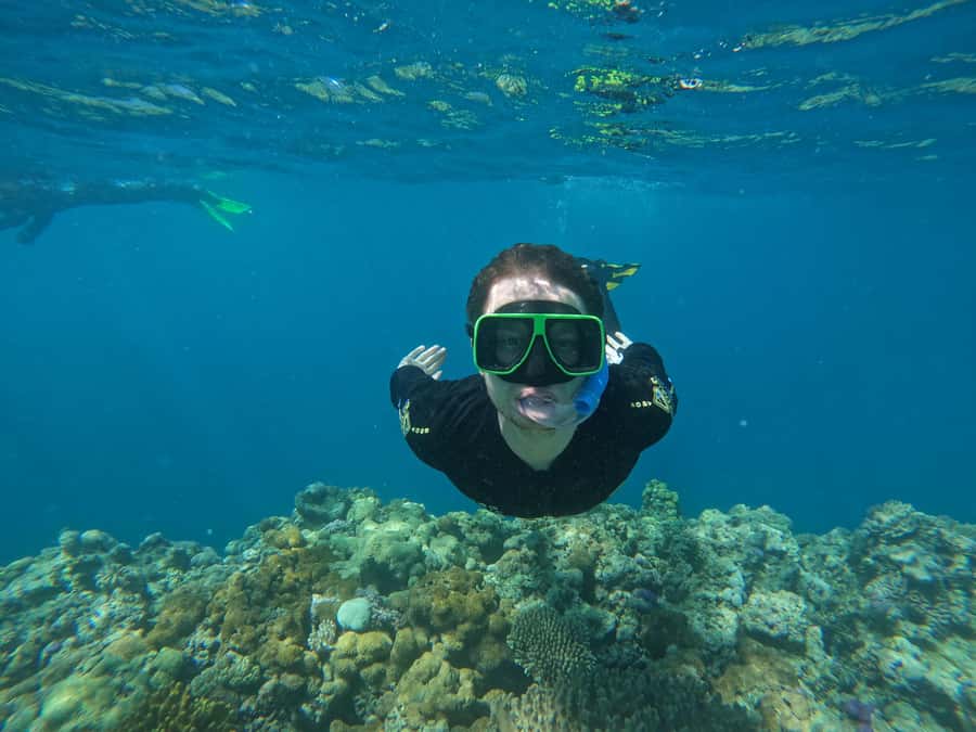 Airlie Beach: Great Barrier Reef & Whitehaven Beach Tour - The crew, safety, and the mood onboard