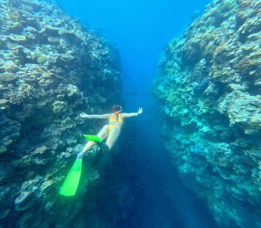 Airlie Beach: Great Barrier Reef & Whitehaven Beach Tour - Who should book this experience