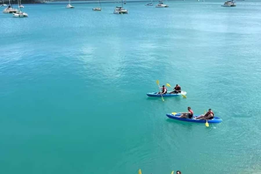 Airlie Beach: Half Day Turtle Tour Sea Kayaking Adventure - Key points at a glance