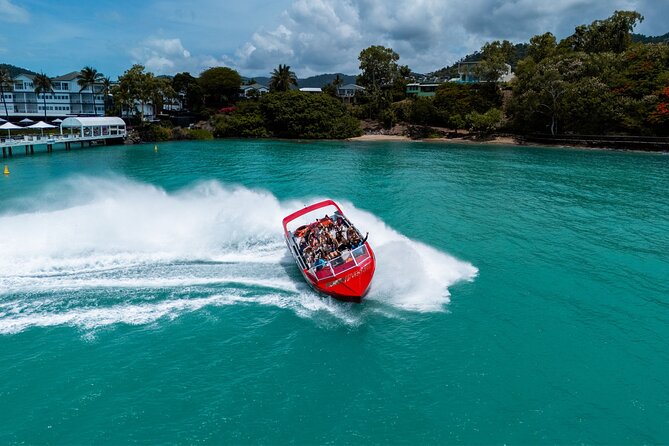 Airlie Beach Jet Boat Thrill Ride - Wildlife on the Return Run