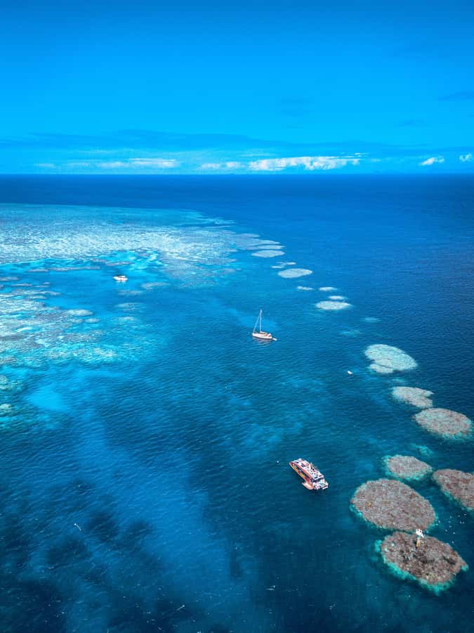 Airlie Beach: Outer Great Barrier Reef Snorkeling Day Trip - What $211 buys you