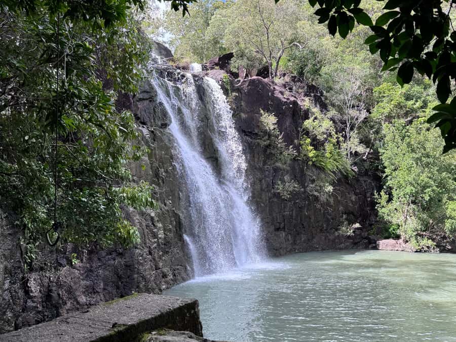 Airlie Beach: Roundtrip Tour to Cedar Creek. - Tea, coffee, and the useful little extras