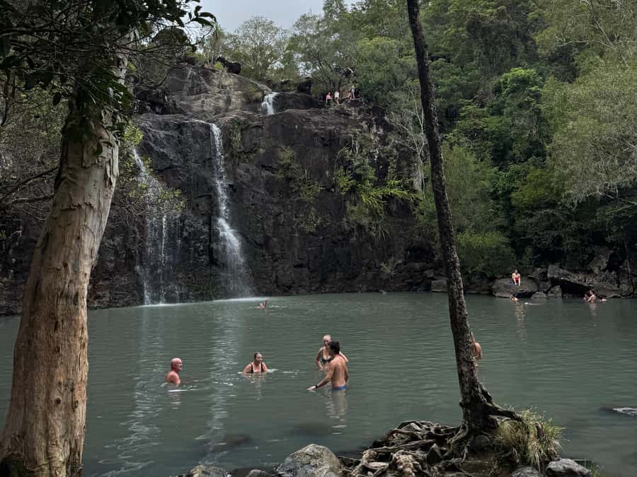 Airlie Beach: Roundtrip Tour to Cedar Creek. - Who will enjoy this trip most