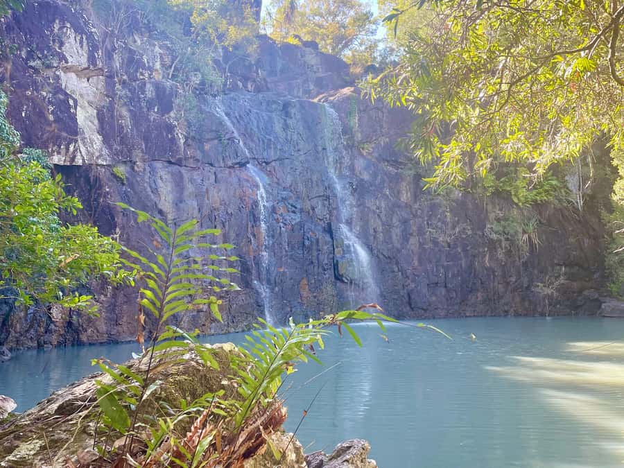 Airlie Beach: Roundtrip Tour to Cedar Creek. - Should you book Cedar Creek Falls?