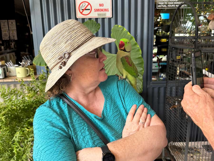 Airlie Beach: The Airlie Hopper Sightseeing Bus - Practical packing advice for Queensland weather