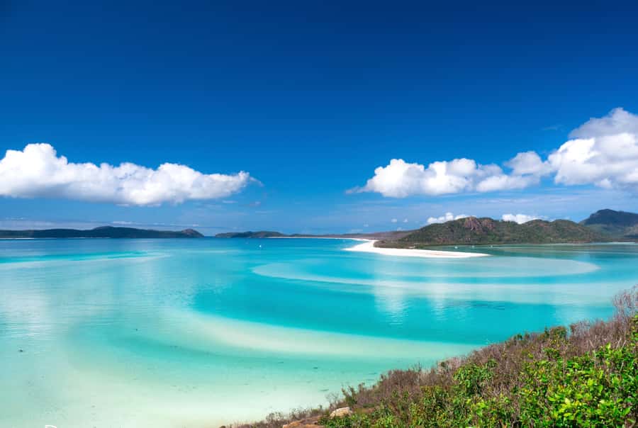 Airlie Beach: Whitehaven Beach Cruise and Hill Inlet - Key points at a glance