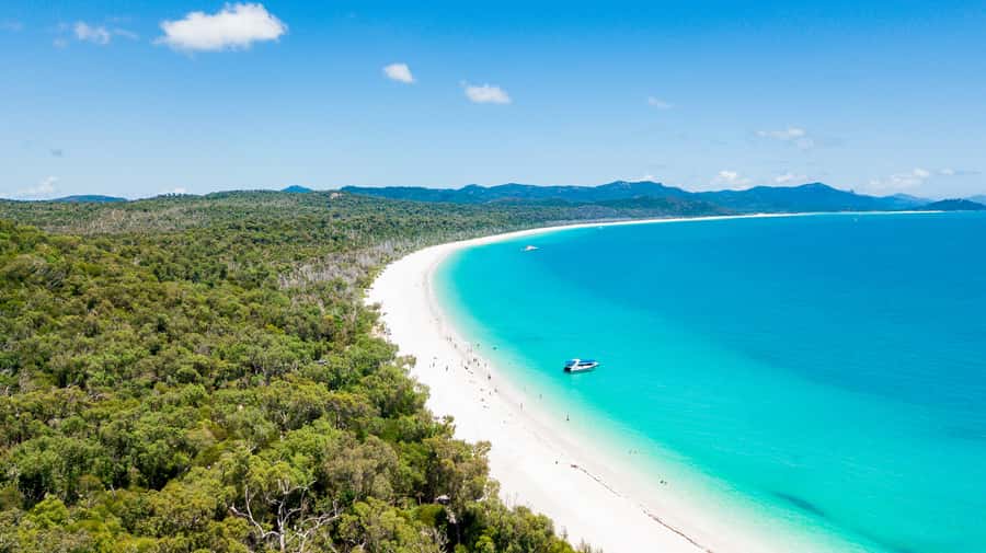 Airlie Beach: Whitehaven Beach Day Tour with Snorkel Option - Practical details before you book