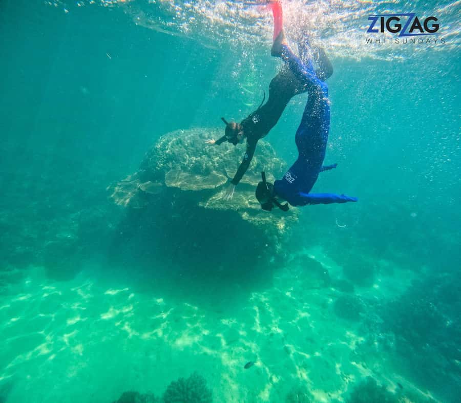 Airlie Beach: Whitehaven Beach Day Tour with Snorkel Option - The 50-minute ride to the islands