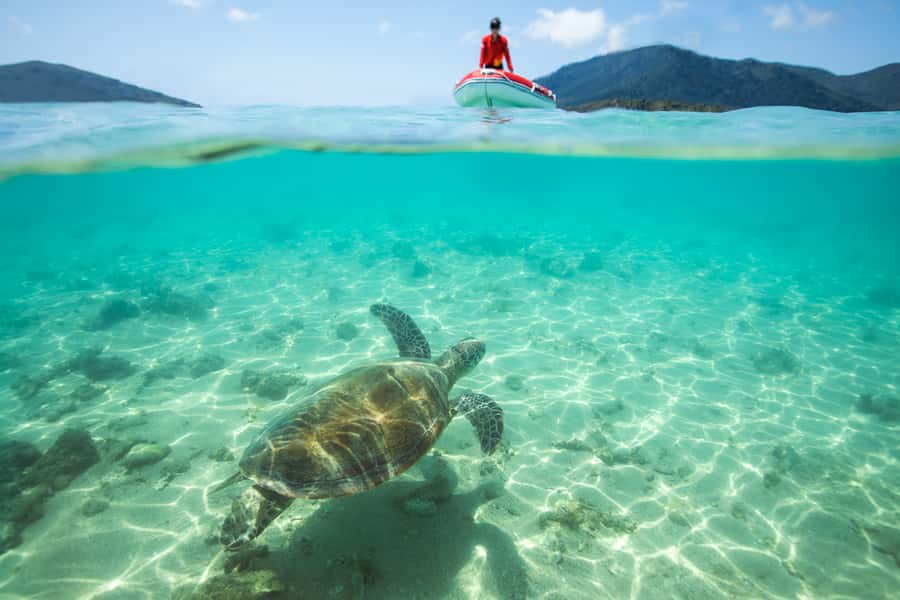 Airlie Beach: Whitehaven Full-Day Eco-Cruise with Buffet - A full Whitsunday day from Airlie Beach