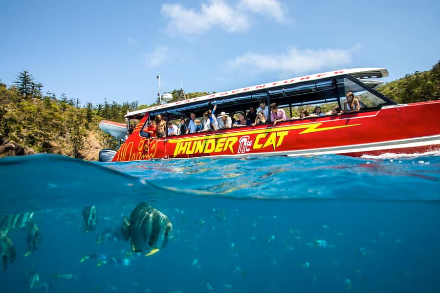 Airlie Beach: Whitehaven Full-Day Eco-Cruise with Buffet - Whitehaven Beach and the Hill Inlet walk