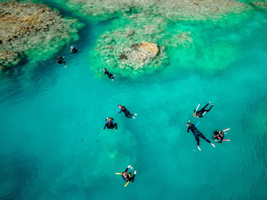Airlie Beach: Whitsunday Islands 2-Day Sailing Tour - Why the Whitehaven Beach timing matters