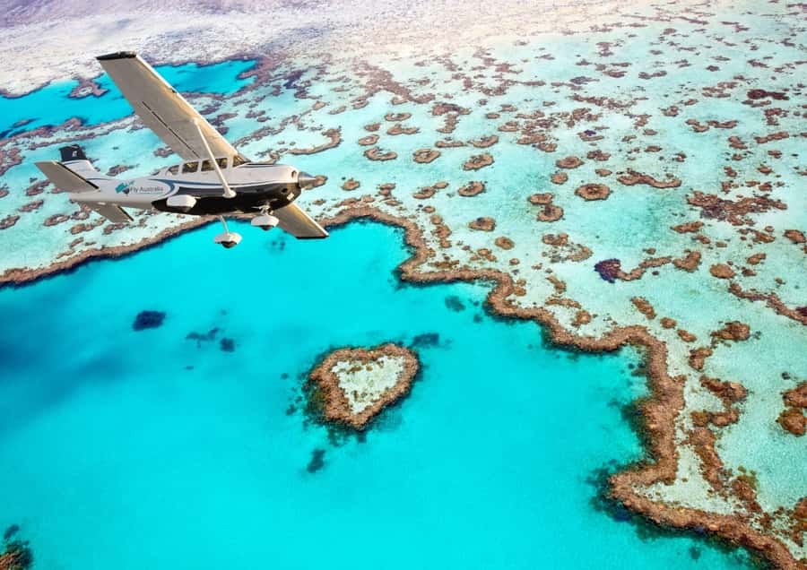 Airlie Beach: Whitsunday Islands & Heart Reef Scenic Flight - Key points at a glance