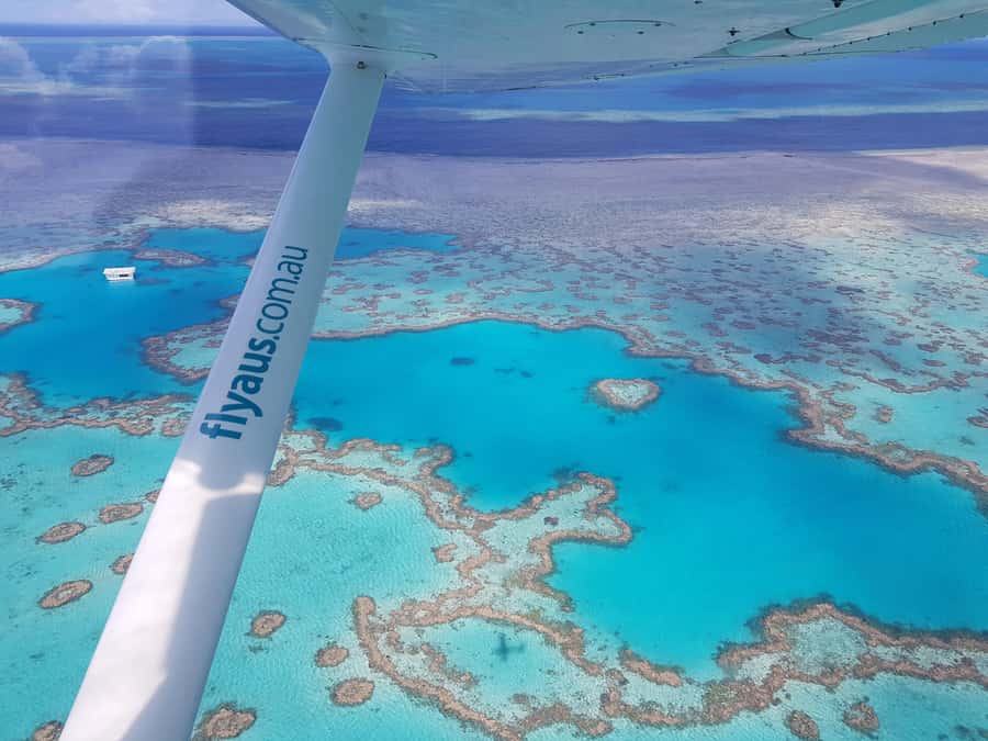 Airlie Beach: Whitsunday Islands & Heart Reef Scenic Flight - Whitehaven Beach and Hill Inlet from a high-wing plane