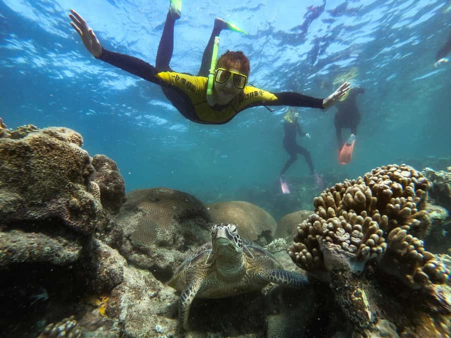 Airlie Beach: Whitsunday Islands Sailing, SUP & Snorkel Tour - Lunch, coffee, and yacht time