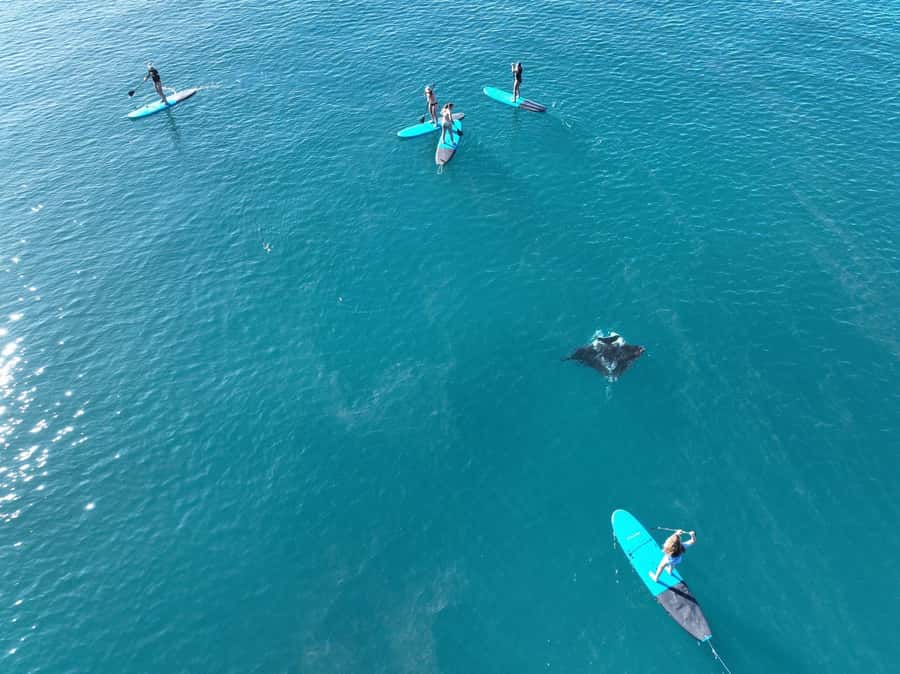 Airlie Beach: Whitsunday Islands Sailing, SUP & Snorkel Tour - Who should choose this sailing day