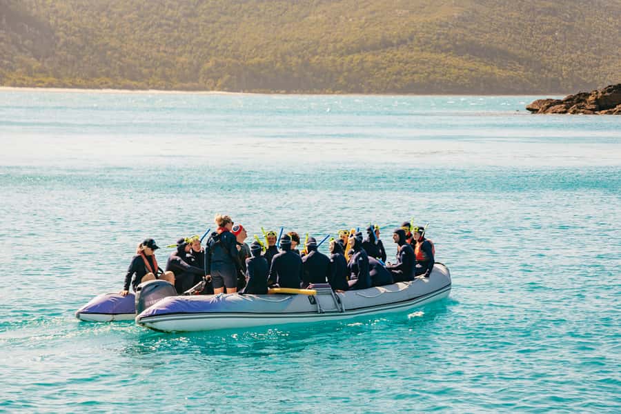 Airlie Beach: Whitsundays Full-Day Camira Sailing Adventure - Key points at a glance