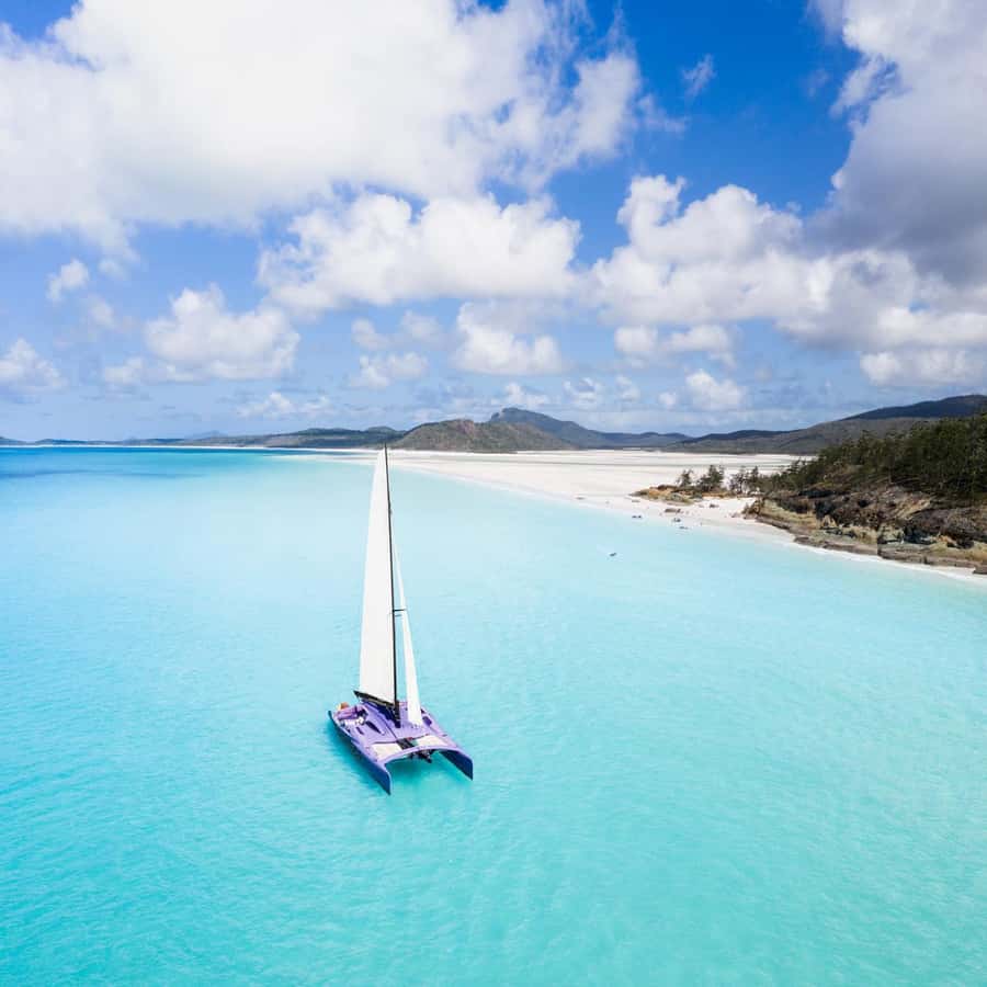 Airlie Beach: Whitsundays Full-Day Camira Sailing Adventure - The return sail and the mood on board