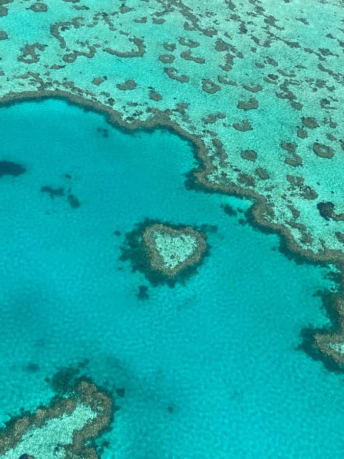 Airlie Beach: Whitsundays & Great Barrier Reef Scenic Flight - Why the Whitsundays look different from the air