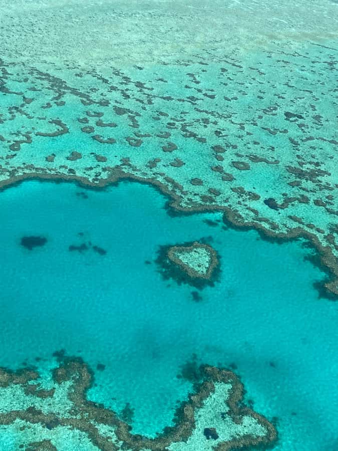 Airlie Beach: Whitsundays & Great Barrier Reef Scenic Flight - The Great Barrier Reef and Heart Reef