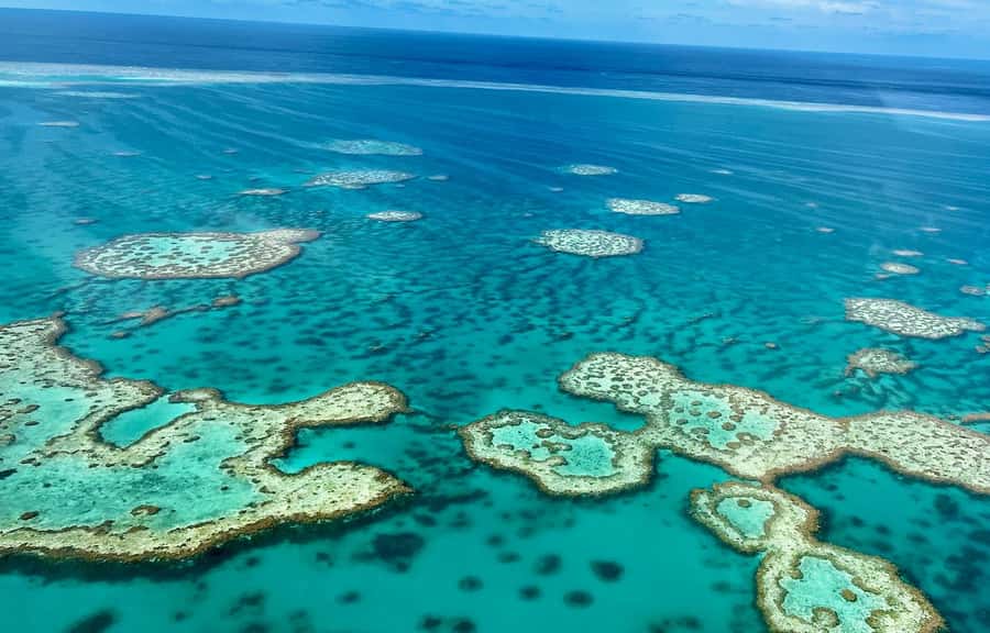 Airlie Beach: Whitsundays & Great Barrier Reef Scenic Flight - Boarding a small plane with a window for everyone