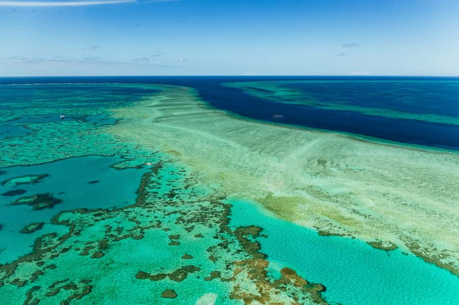Airlie Beach: Whitsundays & Heart Reef Scenic Flight - Key points to know before you book