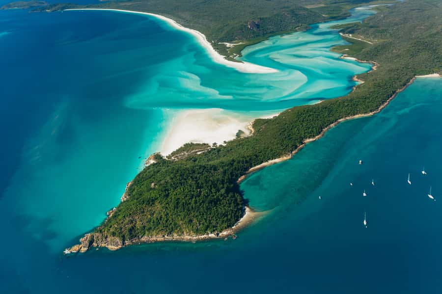 Airlie Beach: Whitsundays & Heart Reef Scenic Flight - Why this flight gives you the Whitsundays at their best angle