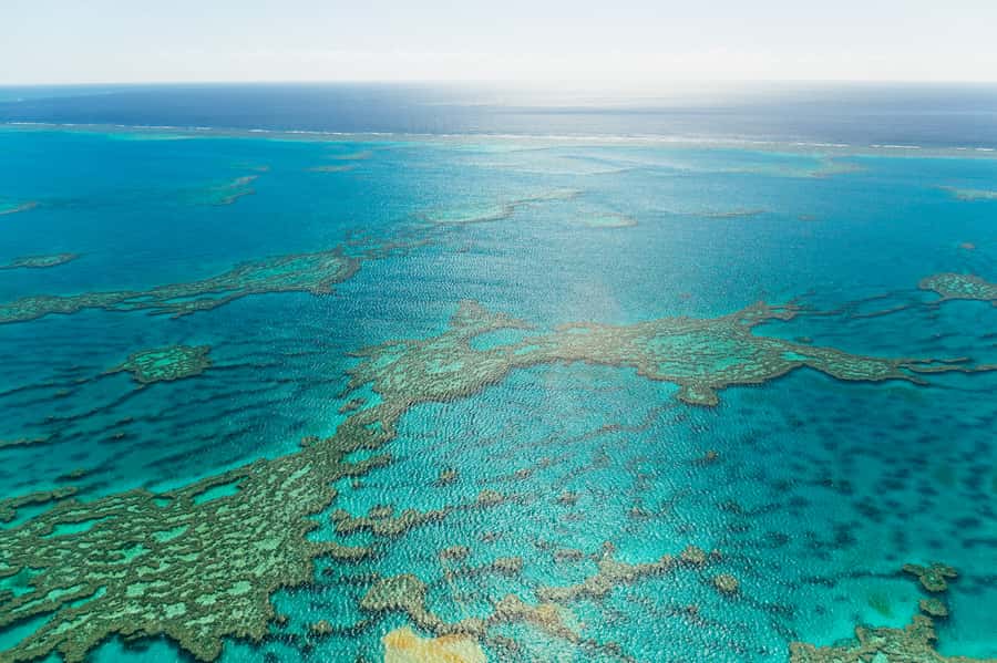 Airlie Beach: Whitsundays & Heart Reef Scenic Flight - What the aircraft experience is really like