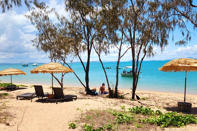 Airlie Coastal Beach Adventures - Dingo Beach & Cape Gloucester - Key points at a glance