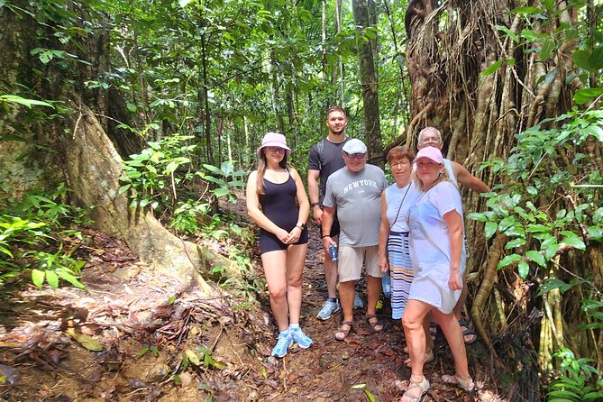 Airlie Waterfalls & Rainforest Bushwalk Eco Adventure - A cool start at Cedar Creek Falls