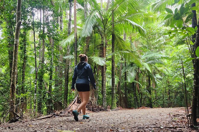 Airlie Waterfalls & Rainforest Bushwalk Eco Adventure - What the $85.56 price buys you
