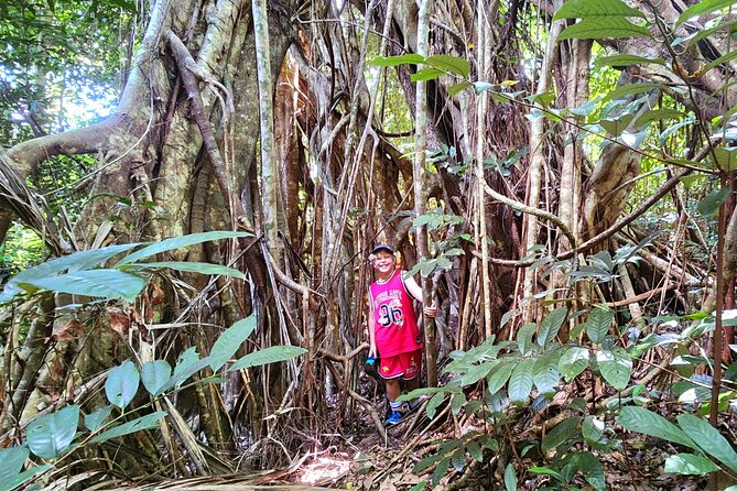 Airlie Waterfalls & Rainforest Bushwalk Eco Adventure - Who will enjoy this outing most