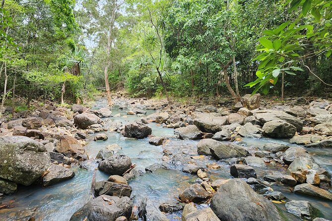 Airlie Waterfalls & Rainforest Bushwalk Eco Adventure - Practical preparation for the morning