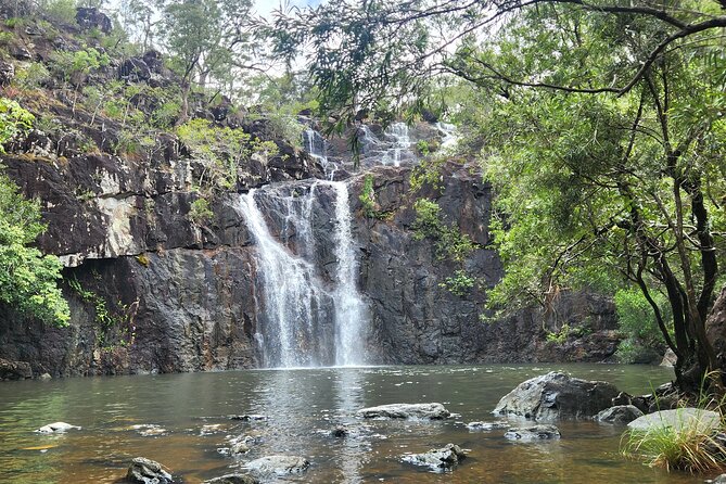 Airlie Waterfalls & Rainforest Bushwalk Eco Adventure - Should you book the Cedar Creek and Conway tour?
