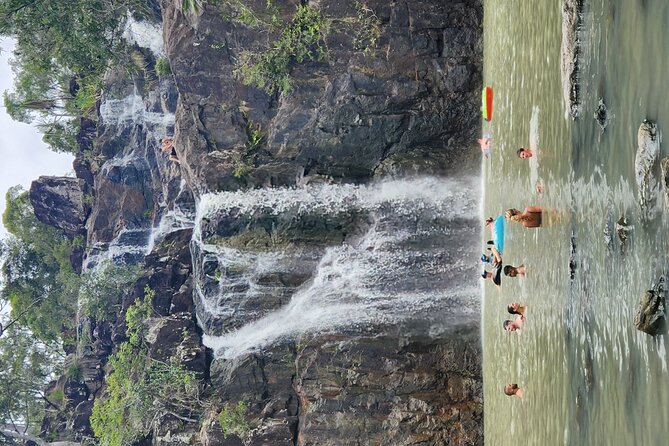 Airlie Waterfalls & Rainforest Bushwalk Eco Adventure - A slower walk through Conway National Park