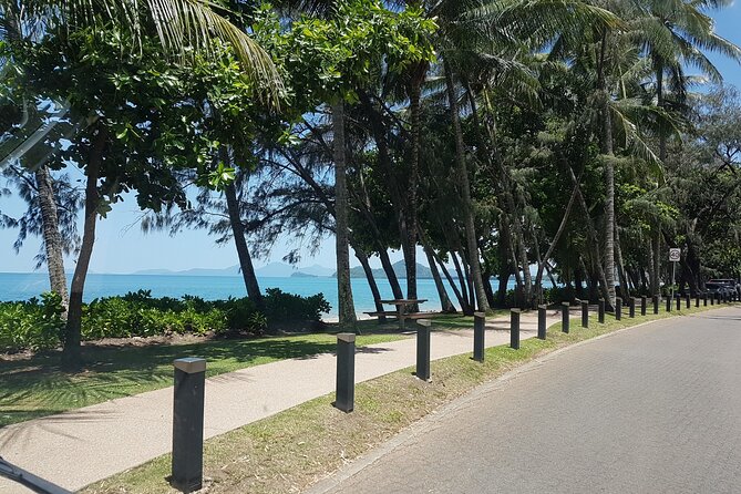 Airport Transfers between Cairns Airport and Cairns City - Why the $16.50 fare can make sense