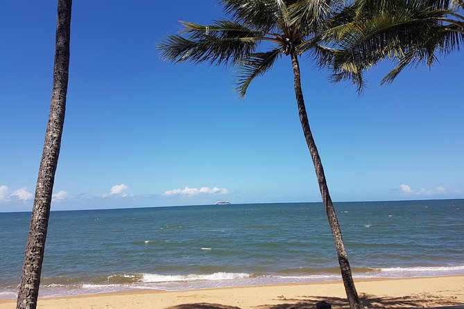 Airport Transfers between Cairns Airport and Palm Cove - Is $26.18 Good Value?