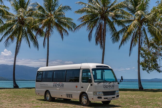 Airport Transfers between Cairns Airport and Palm Cove - What the Thirty-Minute Drive Is Really Like