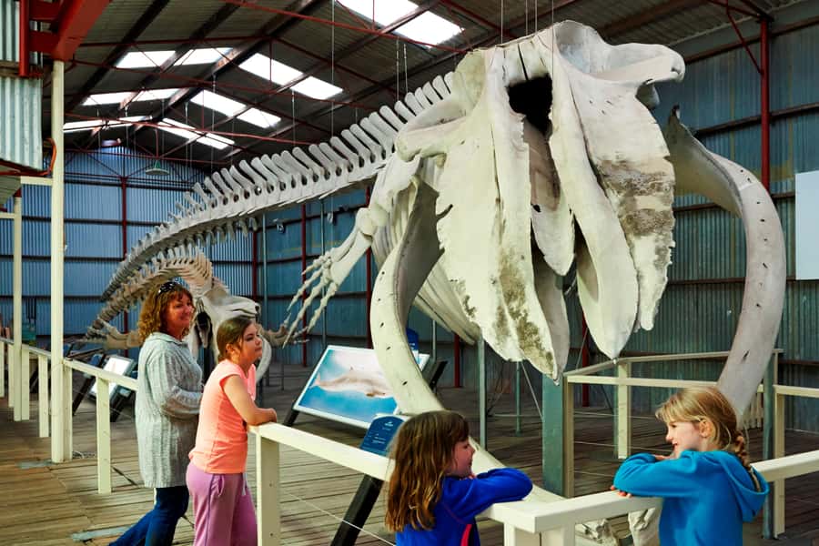 Albany: Historic Whaling Station Entry Ticket - Key points at a glance