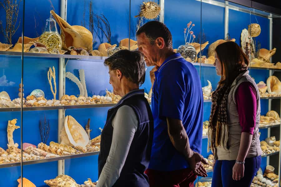 Albany: Historic Whaling Station Entry Ticket - Add the gardens and Australian Wildlife Park