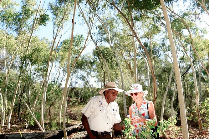 Alice Springs Desert Park General Entry Ticket - Start with a map, not a random walk