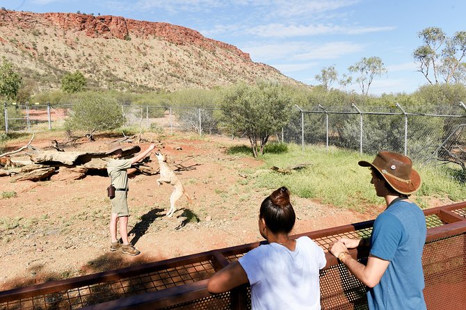 Alice Springs Desert Park General Entry Ticket - The free flying bird show gives the day its big moment