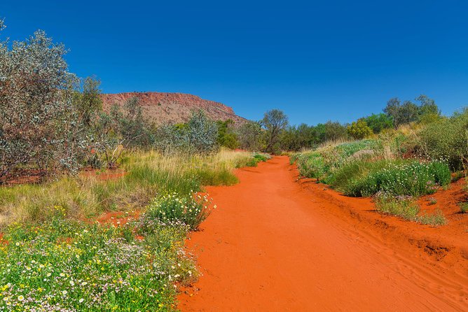 Alice Springs Desert Park General Entry Ticket - Naturalized enclosures make room for patient watching