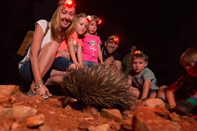 Alice Springs Desert Park Nocturnal Tour - The animals you might see